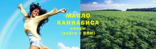 хмурый Аркадак