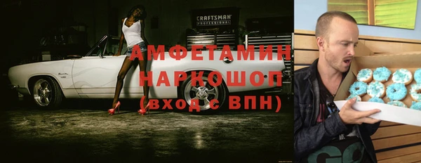 хмурый Аркадак