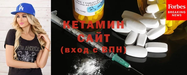 хмурый Аркадак