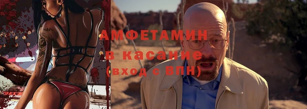 хмурый Аркадак