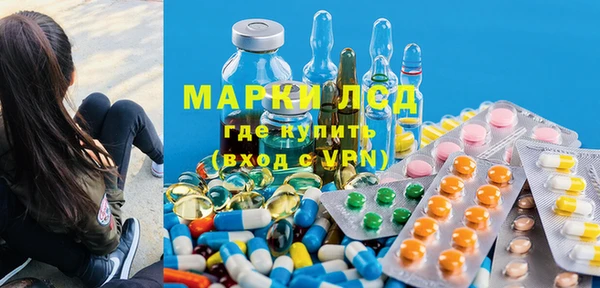 хмурый Аркадак