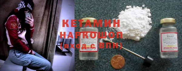 хмурый Аркадак