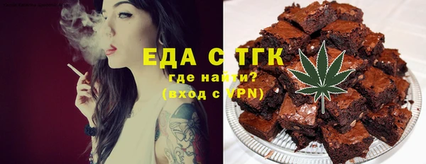 хмурый Аркадак