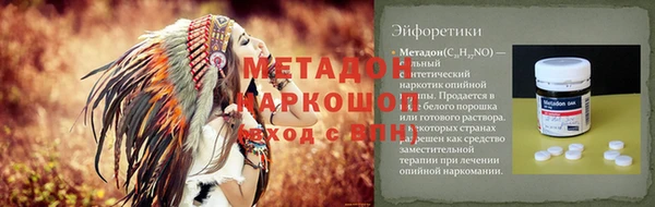 хмурый Аркадак